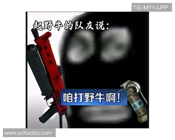 CSGO新手必看全方位力量入门攻略与技巧分享